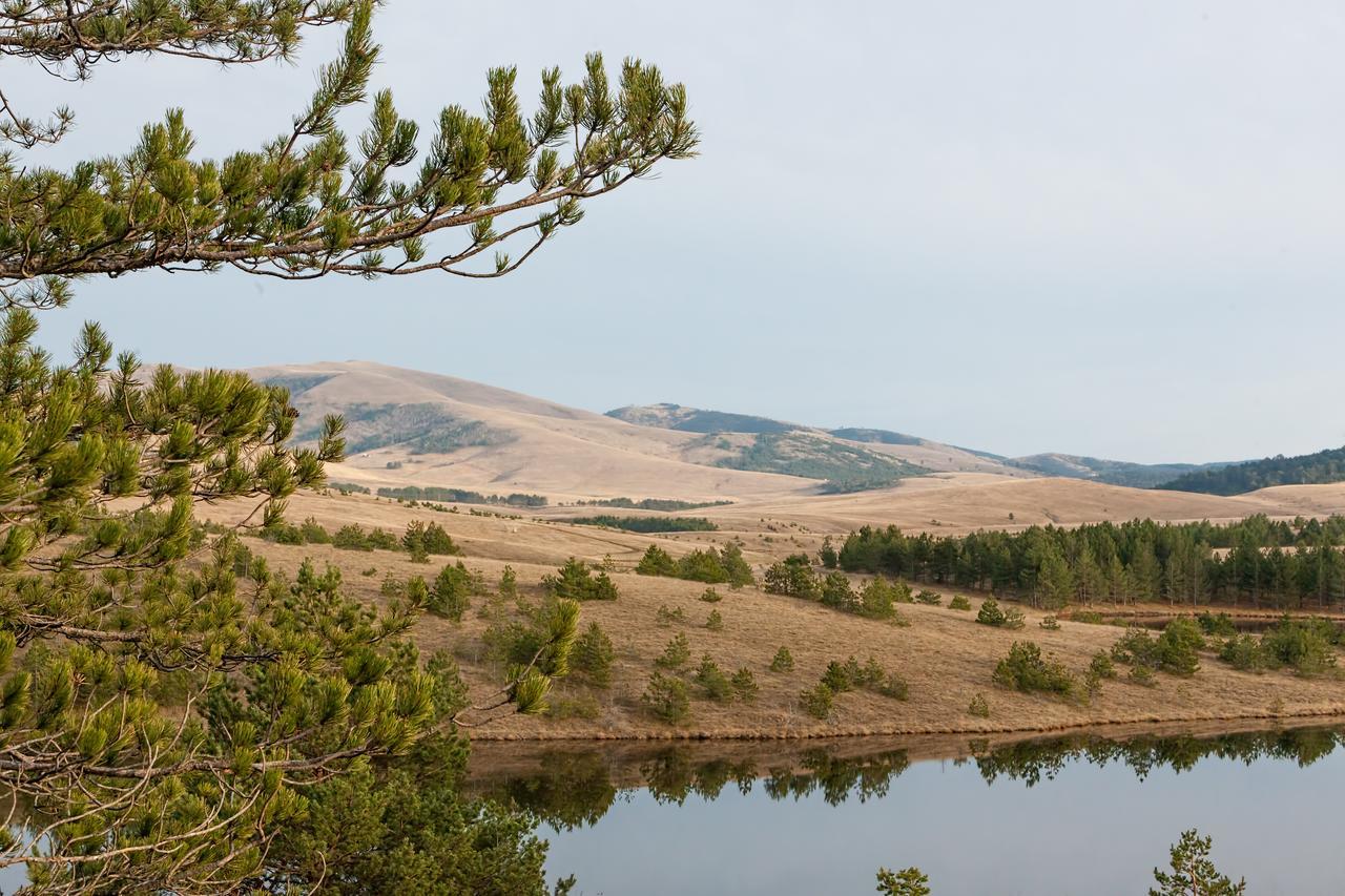 Goldpine Apartments Zlatibor Eksteriør bilde