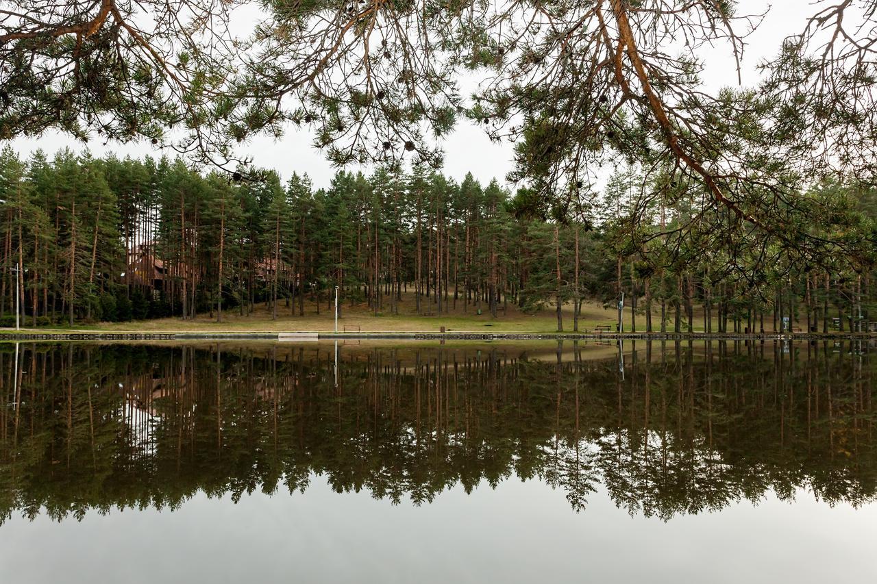 Goldpine Apartments Zlatibor Eksteriør bilde